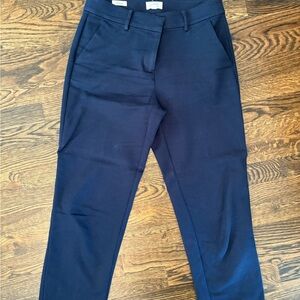 LOFT Men's Navy Chinos